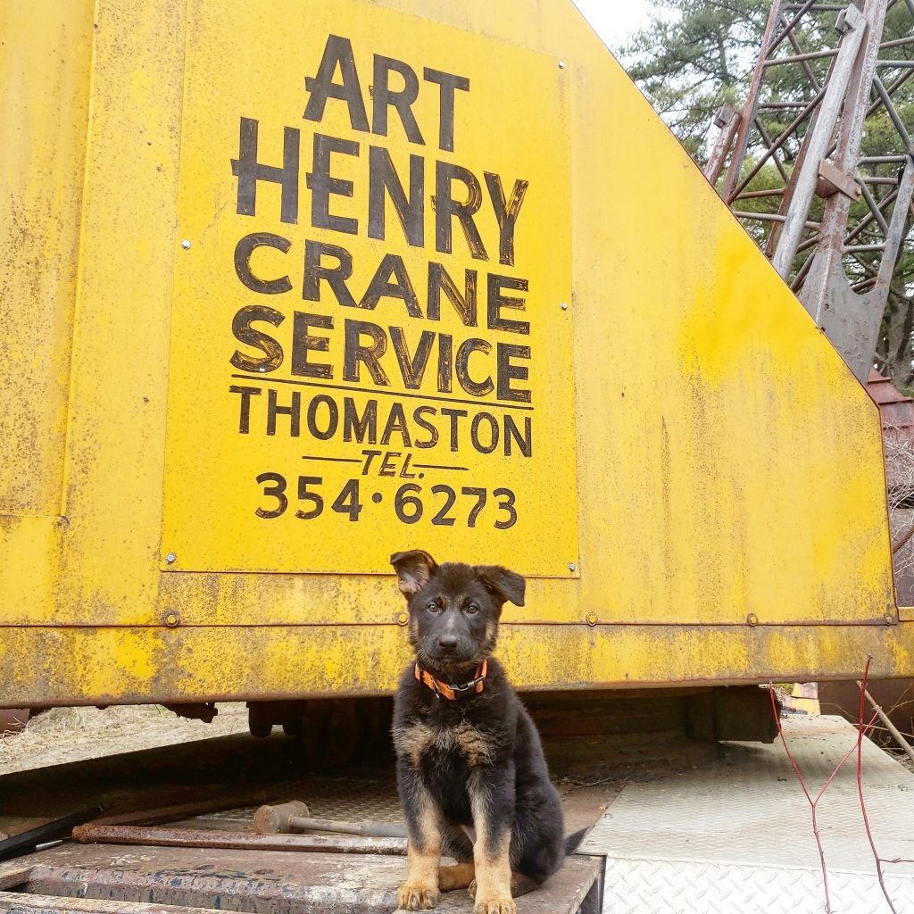 Visit Art Henry Crane Services