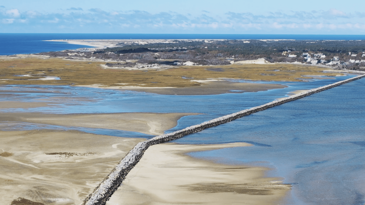 Book A Ferry To Provincetown